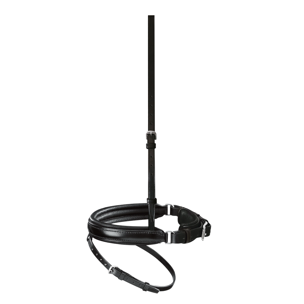 Passier anatomically formed caveson special with flash strap