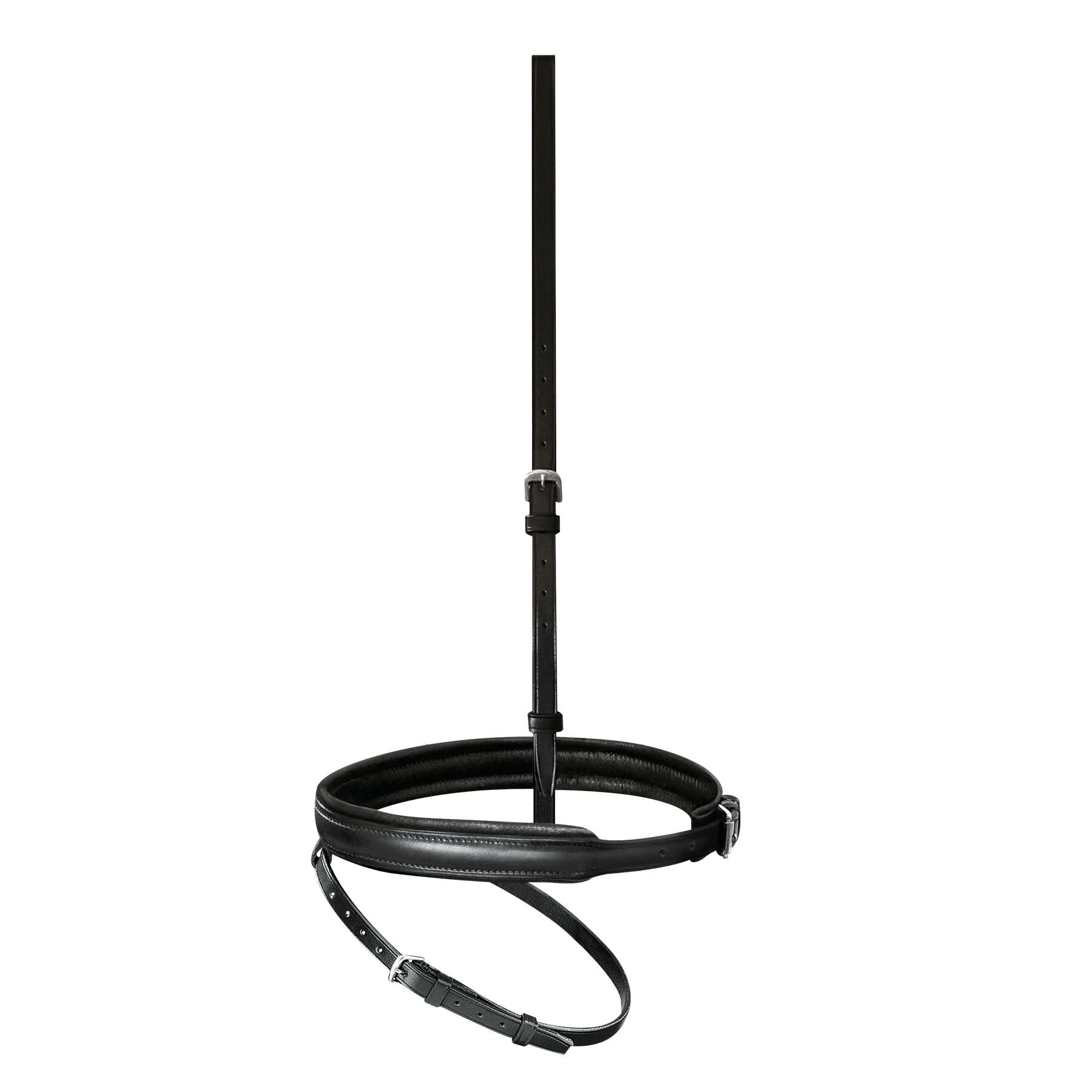 Passier anatomically formed flash noseband