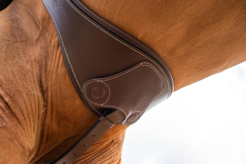 HFI anatomic girth with magnets