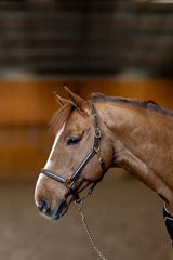 HFI Halter little groom