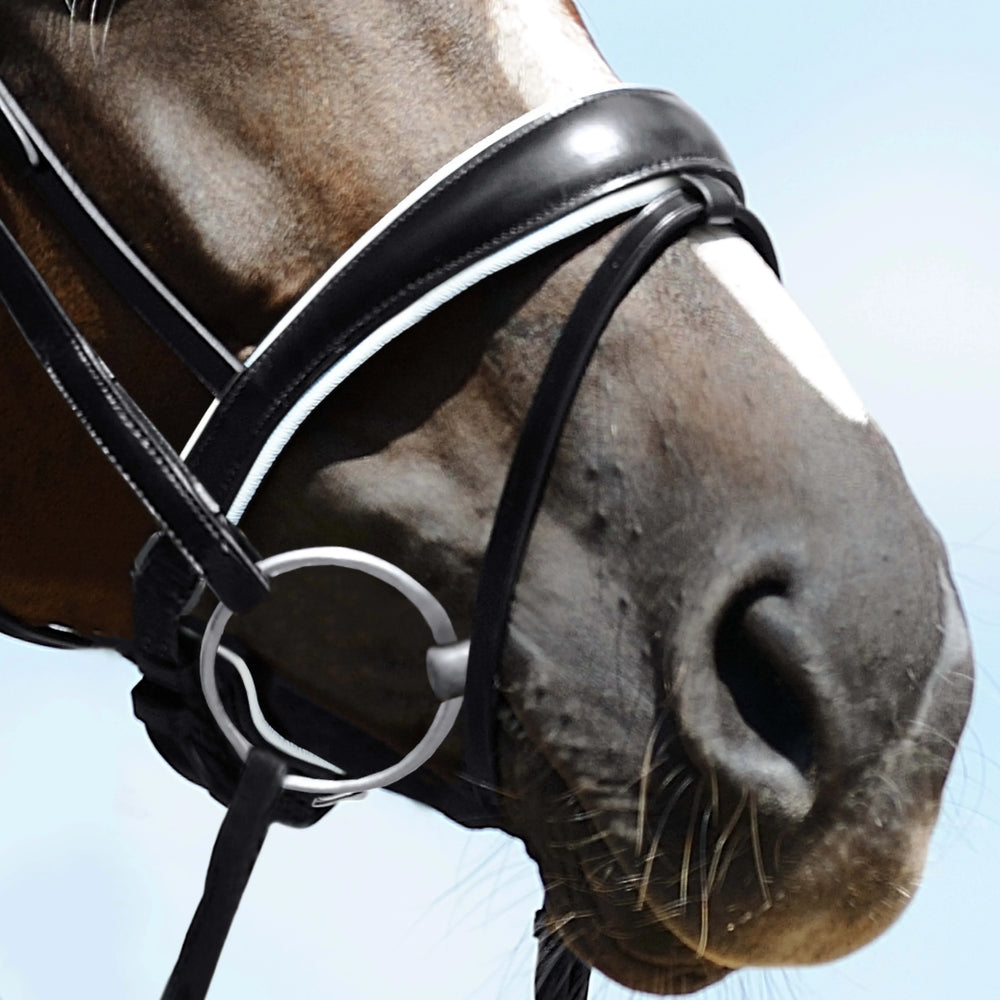 Passier anatomically formed caveson special with patent leather trim and flash strap