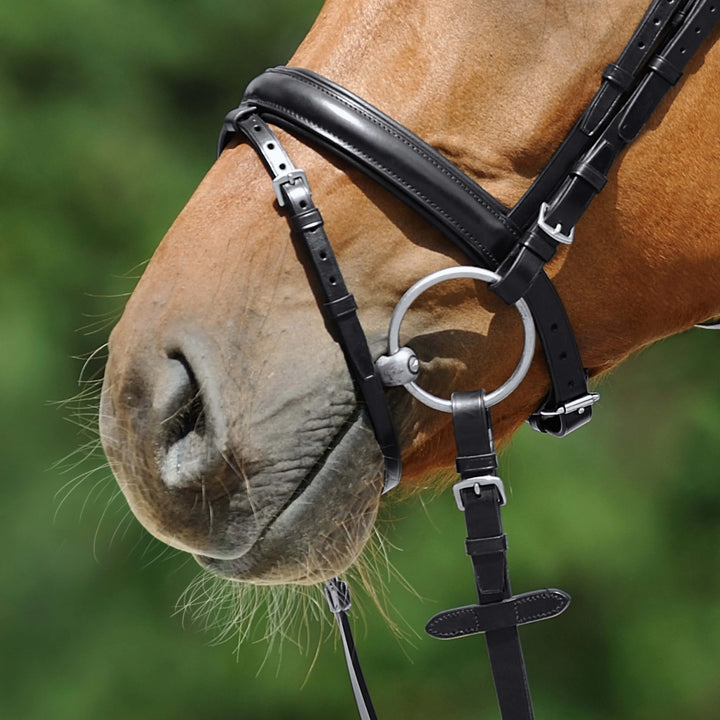 Passier anatomically formed flash noseband