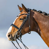 Passier highscore double bridle