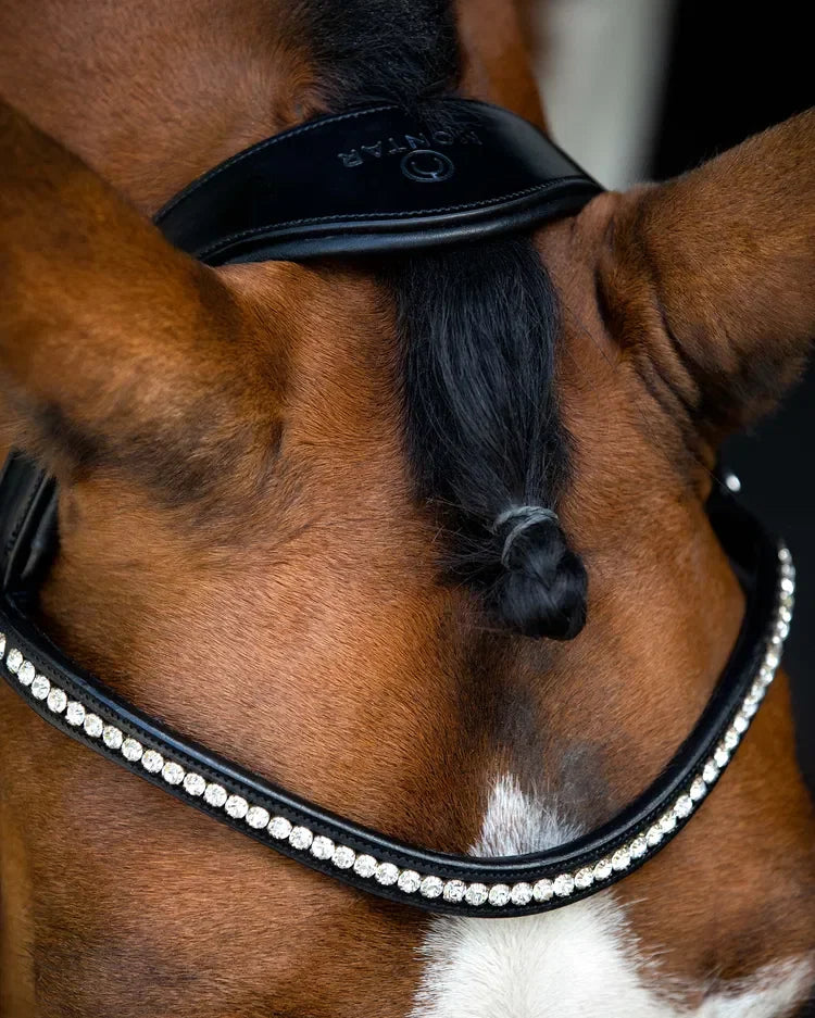 Fair Hoofdstel met Anatomisch Halsstuk - Zwart