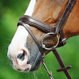 Passier exchangeable noseband with more room for the cheekbone with application