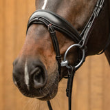 Passier anatomically formed caveson special with padded flash strap loop