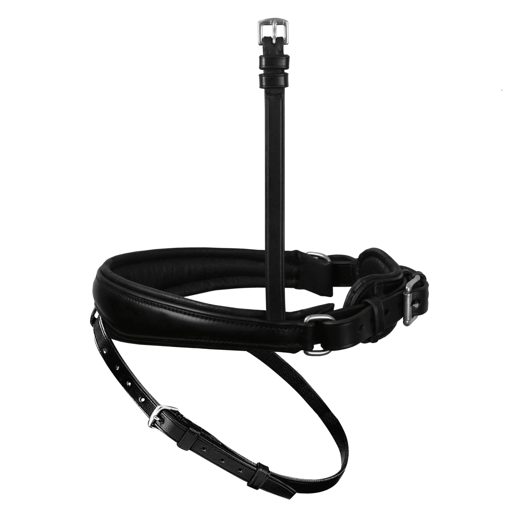 Passier anatomically formed caveson special with padded flash strap loop