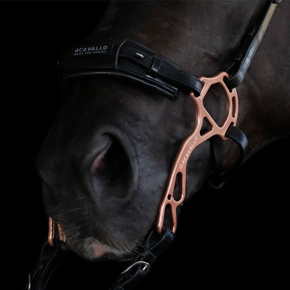 Acavallo Hackamore Reithalfter Kalbsleder
