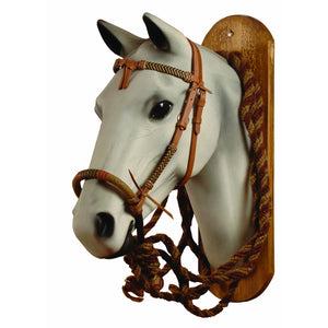 Pool's rawhide d488 bosal set DM00077