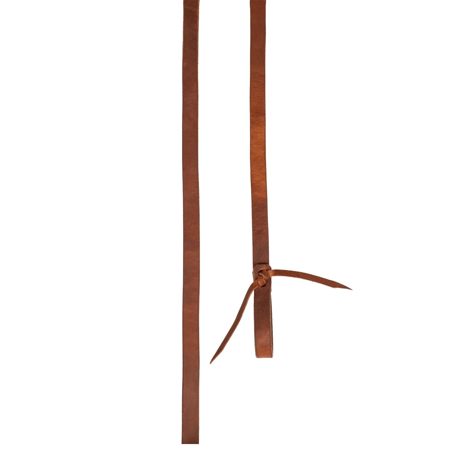 Pool's harness reins RE 00054