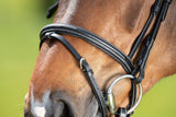 HFI comfort bridle - HorseworldEU