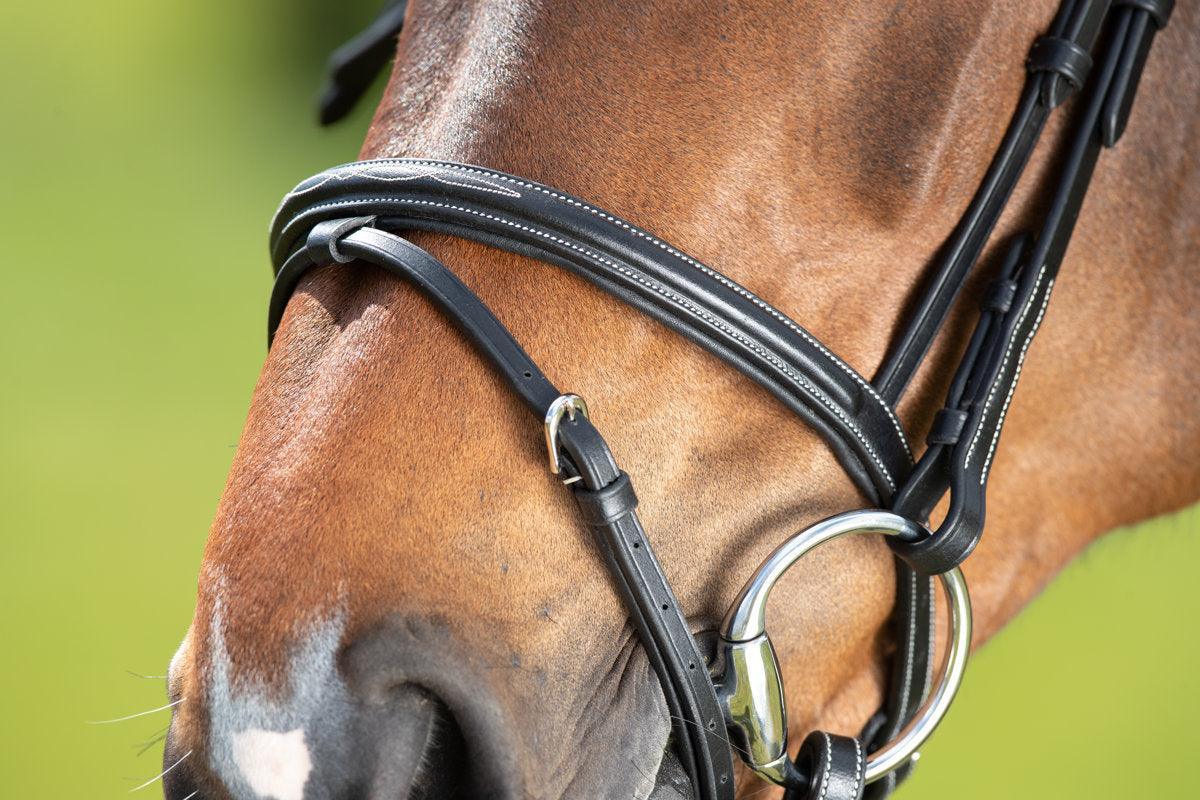 HFI comfort bridle - HorseworldEU