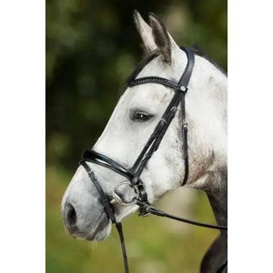 HFI luxe bridle HFI