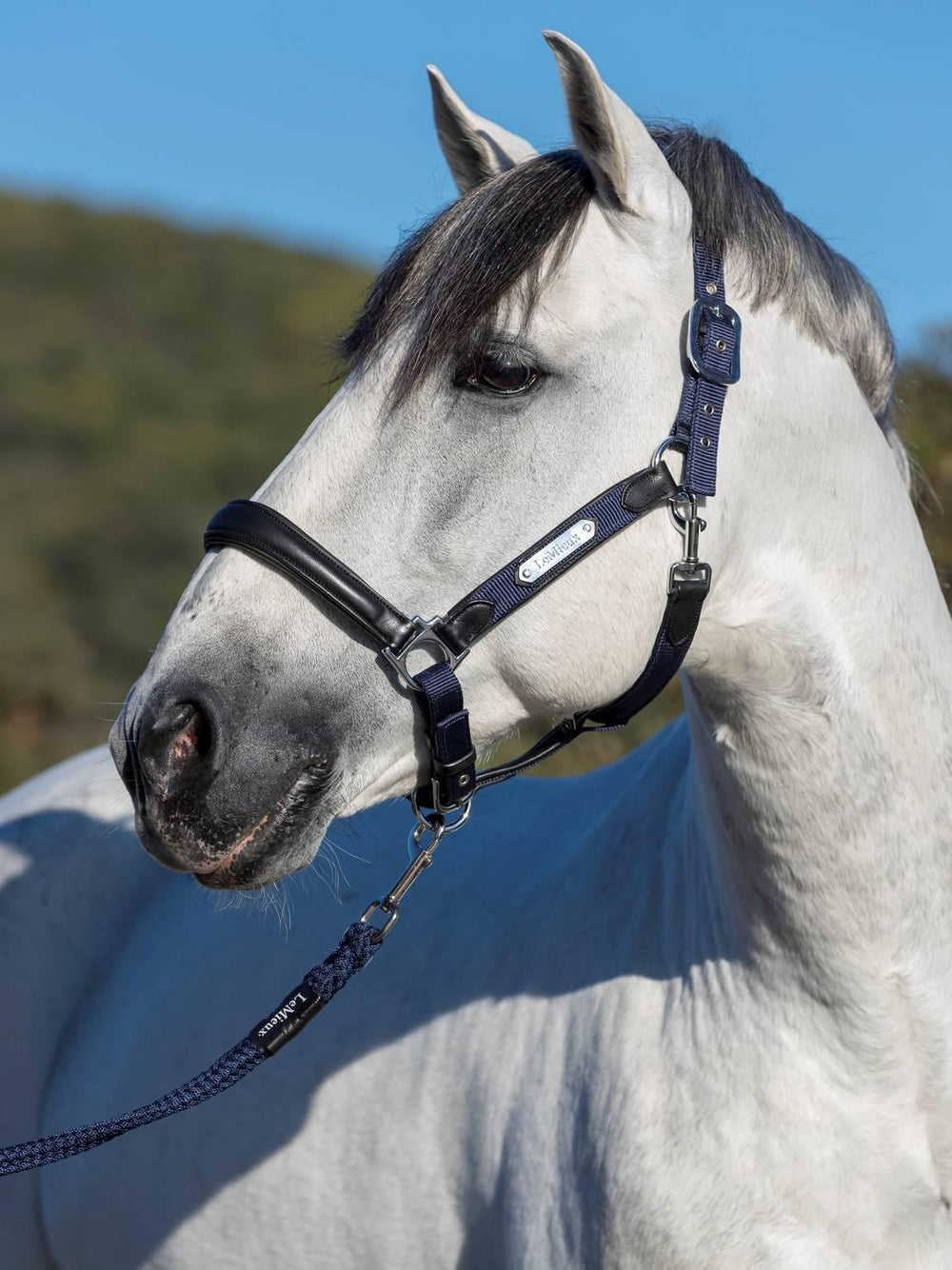 LeMieux capella headcollar - HorseworldEU