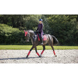 LeMieux classic polo bandages LeMieux