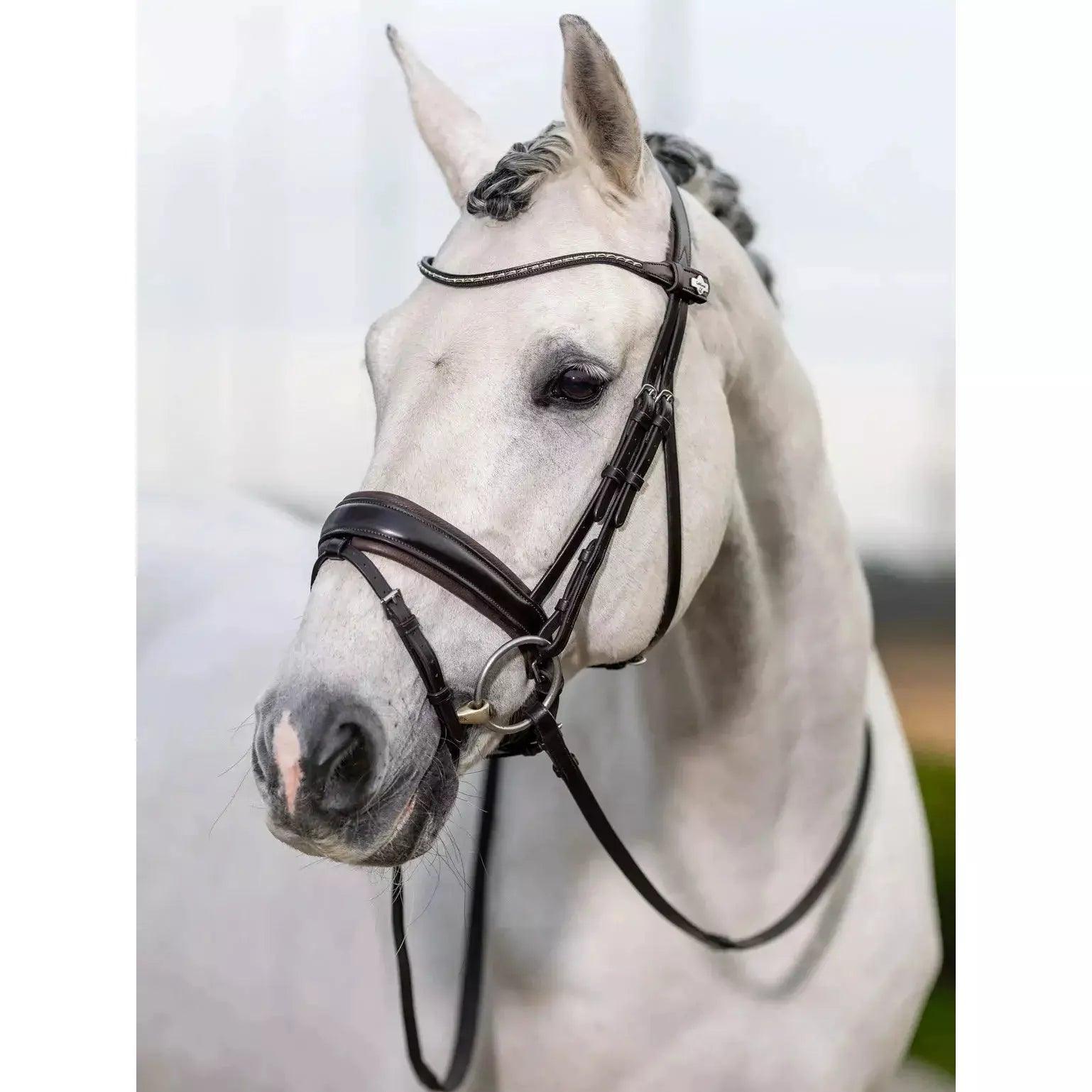 LeMieux classic dressage bridle Lemieux