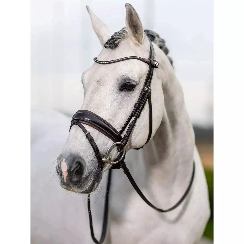 LeMieux classic dressage bridle Lemieux