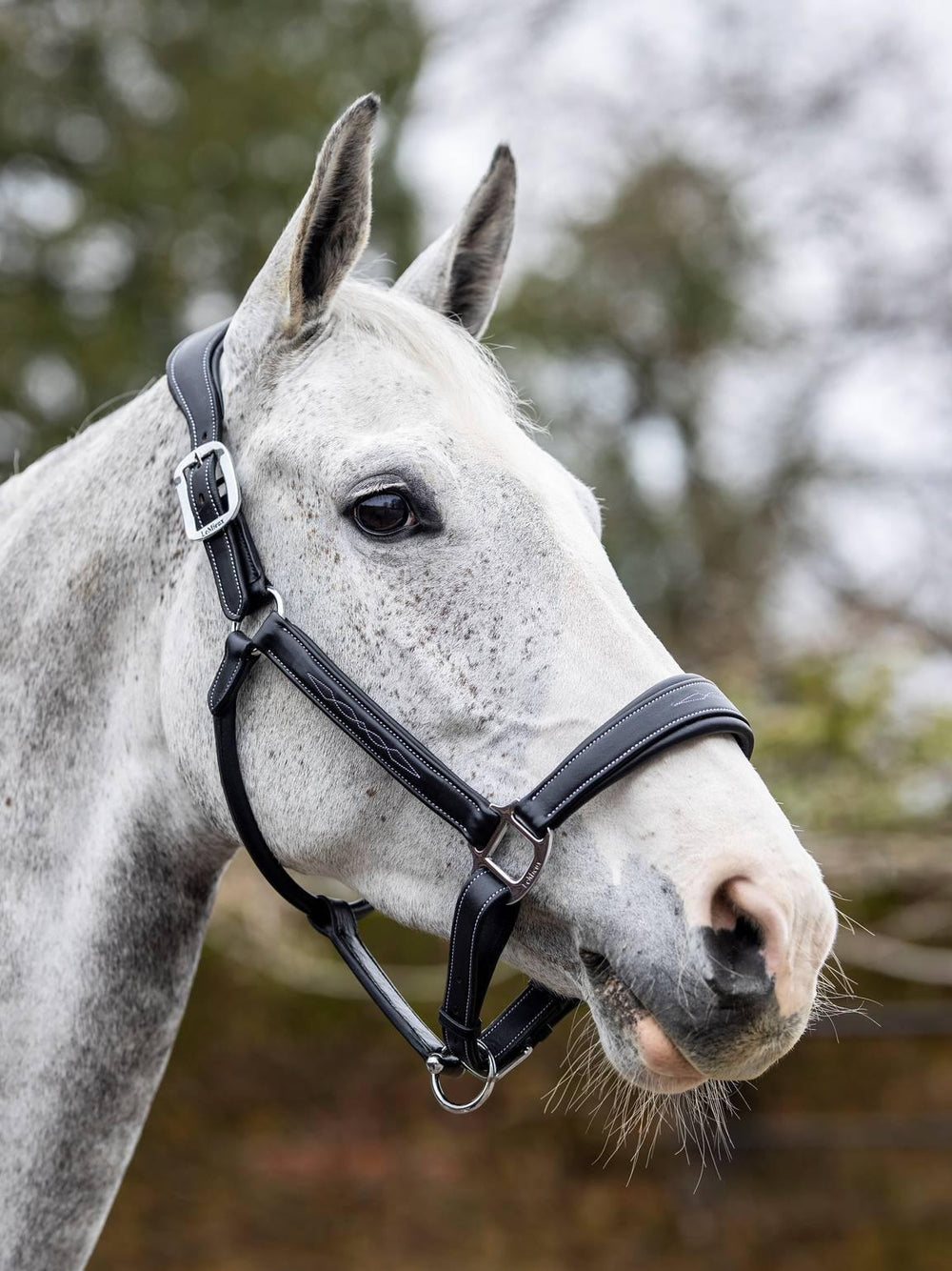 LeMieux stitched leather headcollar - HorseworldEU
