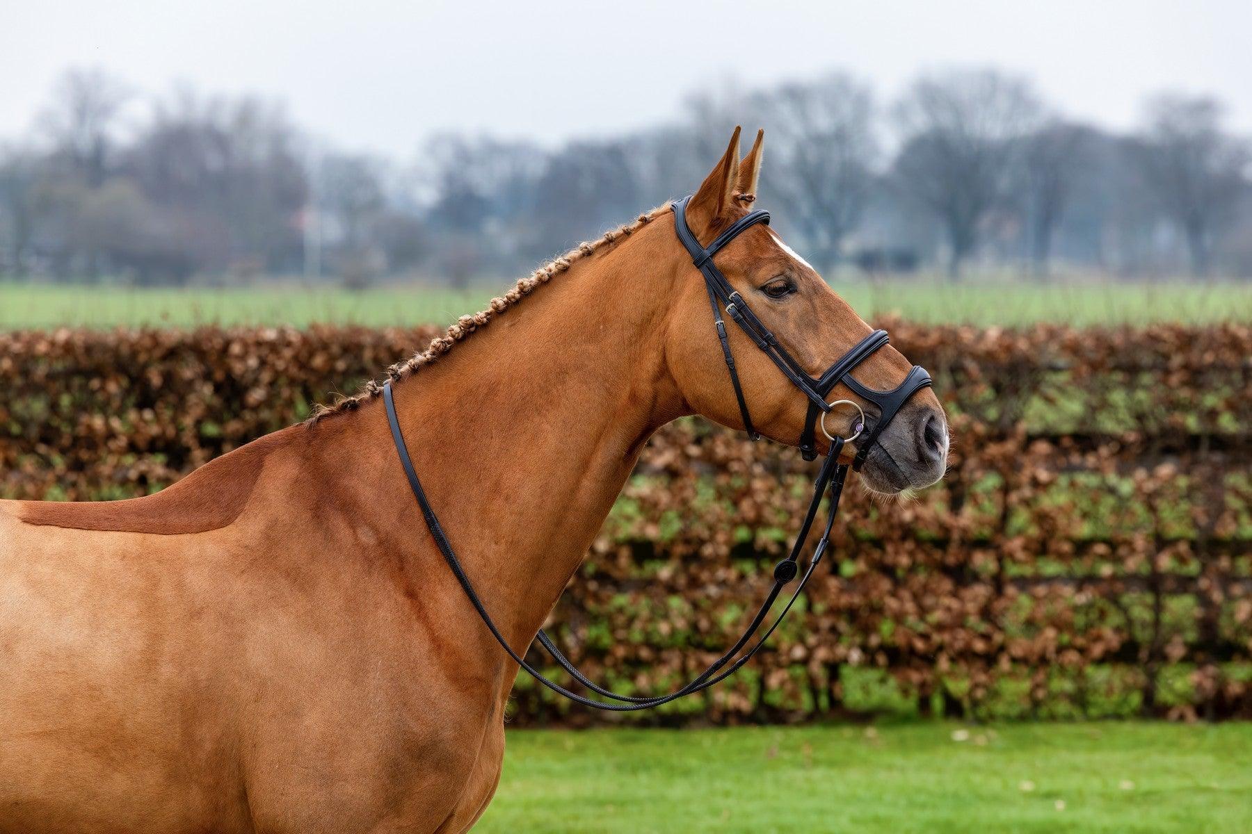 Trust Paris Double noseband bridle - HorseworldEU